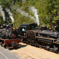 Yosemite Mountain Sugar Pine Railroad